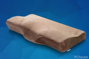 家用枕芯選購指南與新品推薦